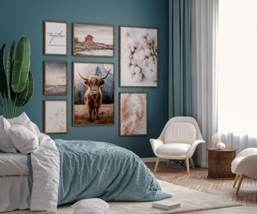 ШОТЛАНДСКАЯ КОРОВА - ПОСТЕР 50 x 70 см