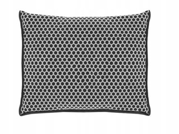 Поглотитель влаги автомобильный 550г