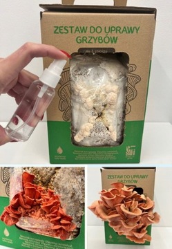 Вешенка розовая ГРИБЫ ДЛЯ ВЫРАЩИВАНИЯ готовый набор