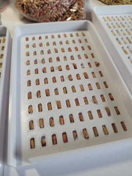 МТЗ Лотки для учета зерна пшеницы, овса, ржи, ячменя