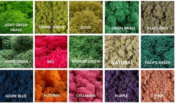 Мох оленьего краба 500г НЕТТО 15 цветов