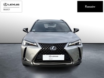 Lexus UX 2021 Lexus UX 250h GPF F Impression 2WD UX 250h F-impre, zdjęcie 6