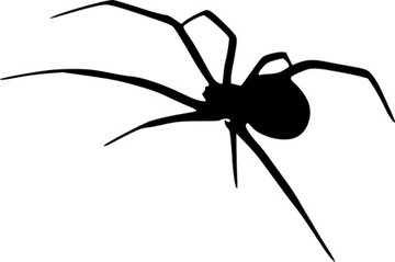 naklejka na samochód kask PAJĄK SPIDER 14 x 21,0 cm