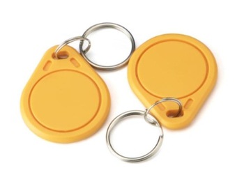 RFID RFID -ключ кольцо Mifare 13,56 МГц 100 шт.