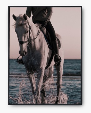 Plakat bez ramy A4 (21x30) IMP-KONIE 03
