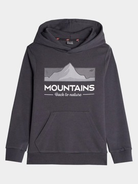 СВИТШОТ С КАПЮШОНОМ 4F ДЛЯ МАЛЬЧИКОВ AW23M634