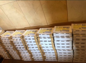 Пчелиные матки 2024 г. - доступны немедленно - ГП Сова