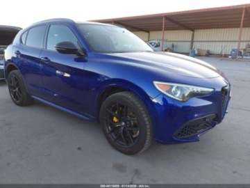 Alfa Romeo Stelvio SUV Facelifting 2.0 Turbo 280KM 2021 Alfa Romeo Stelvio 2021 r.2,0L TI SPORT AWD 2.0 Benzyna 280KM, zdjęcie 2