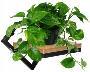 KWIETNIK WISZĄCY METALOWY NA ŚCIANĘ ŚCIENNY LOFT PÓŁKA NA KWIATY ROŚLINY