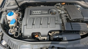 Audi A3 8P Hatchback 3d 1.6 TDI 105KM 2010 Audi A3 3-drzwiowe 1.6TDi OPŁACONY Bezwypadkowy, zdjęcie 34