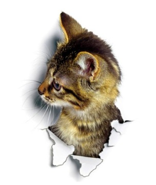 НАКЛЕЙКИ коты на стену DOOR CATS 3D набор 3 шт N10.