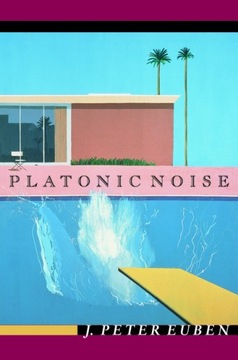 Platonic Noise - Euben, J. Peter EBOOK