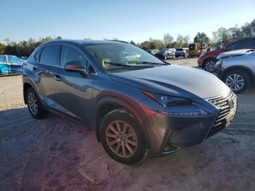 Lexus NX II 2021 Lexus NX 300 Base 2021 2.0l 2.0 Benzyna 235KM, zdjęcie 4