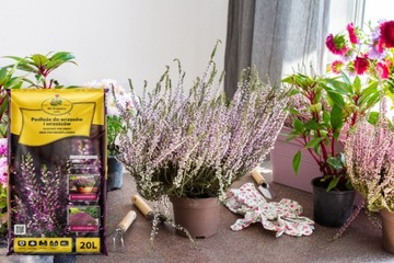 ЗЕМЛЯ ДЛЯ УТЕПЛИТЕЛЕЙ И ВЕРЕСКОВ с компостом и удобрениями 20л КИК