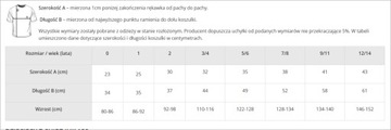 Детская футболка с собственным принтом на левой груди 110-116 см 3/4 года