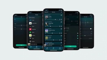 БЕСПРОВОДНОЙ УСИЛИТЕЛЬ САБВУФЕРА ДЛЯ ВСТРОЕННОГО САБВУФЕРА