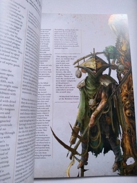 Том Warcry Warband: Rot And Ruin