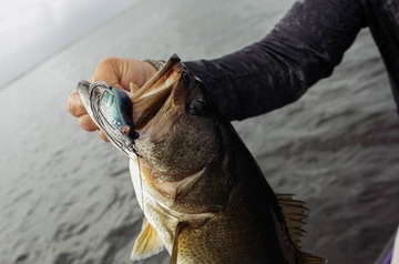 SG Hop Popper лягушка