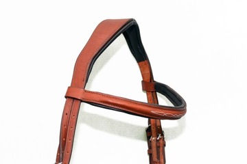 Профилированная анатомическая команда полна