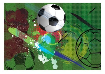 Fototapeta Młodzieżowa PIŁKA NOŻNA Sport 368x254