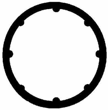 TĚSNĚNÍ KOLEKTORU RENAULT CLIO II 1.4 1.6 98-