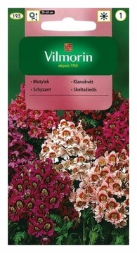 MOTYLEK MIX KOLORÓW VILMORIN NASIONA 1g