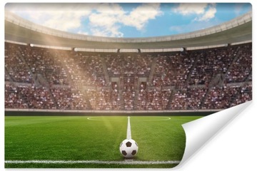 Fototapeta Stadion Piłkarski PIŁKA NOŻNA 300x210