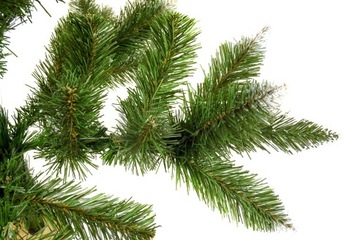 CHOINKA SZTUCZNA ŚWIERK NATURALNY NA PNIU 220 CM