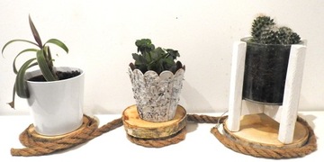 СРЕЗ ДЕРЕВА, ШТАМП БЕРЕЗА 18-22СМ, 1 ШТ.