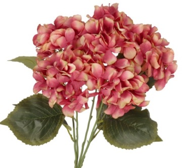 ИСКУССТВЕННЫЕ ЦВЕТЫ РАСТЕНИЯ ТРАНСФЕРЫ КАК ЖИВОЙ ГИДРЕНЗИИ