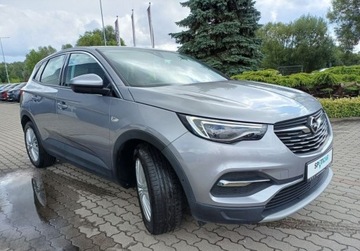 Opel 2018 Opel Grandland X 148 1.6 T Elite 180 KM AUTOMAT 1.6 Benzyna 180KM, zdjęcie 2