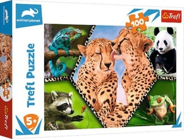 Puzzle 100 Piękno natury Animal Planet 16424