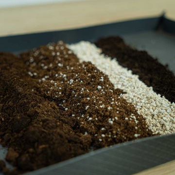 Субстрат для Калатеи Маранты Строманте ПРЕМИУМ