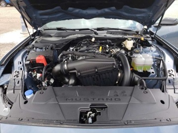 Ford Mustang VI 2024 Ford Mustang 2024r., 2.3L 2.3 Benzyna 315KM, zdjęcie 10
