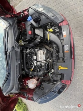 Ford Ecosport II 2018 Ford EcoSport Ford EcoSport 2018 1.0 EcoBoost 102 KM Automat Benzyna, zdjęcie 10