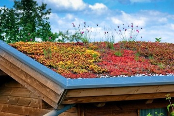 Зеленая крыша - панели очитка - поддон 10 м²
