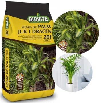 ZIEMIA DO PALM JUKI DRACEN BIOVITA 20L