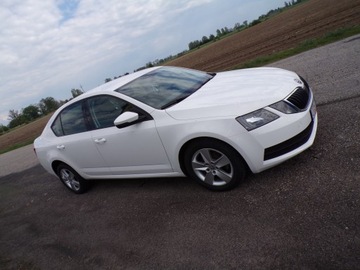 Skoda Octavia III Liftback Facelifting 1.6 TDI 115KM 2019 SKODA OCTAWIA 1.6 TDI 115 KM ZAREJESTROWANA, zdjęcie 10