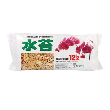 TORFOWIEC SPHAGNUM MOSS POLE UKORZENIACZ 12L