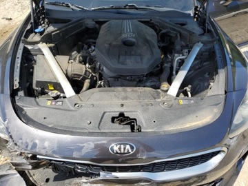 Kia Stinger 2019 Kia Stinger 2019 2.0l 2.0 Benzyna 255KM, zdjęcie 6