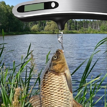 ТУРИСТИЧЕСКИЙ БАГАЖ ДЛЯ РЫБАЛКИ ВЕСОВ 50 КГ