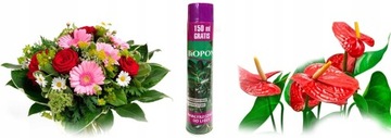 Plant Flower Leaves Shine 750мл Букет Спрей GLOSS Shine