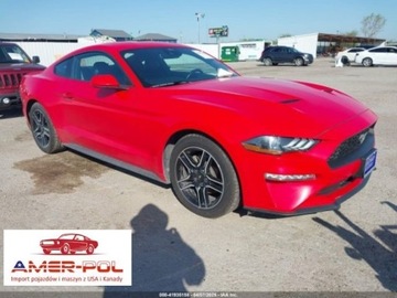 Ford Mustang VI 2023 Ford Mustang Ford Mustang EcoBoost Fastback 2.3 Benzyna 310KM