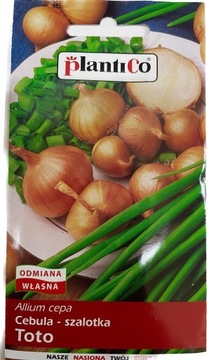 Cebula szalotka 1g rodzinna , kieszkowa pLANTICO