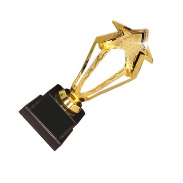 NAGRODA TROFEUM NAGRODA GRY TROFEUM WYSIŁKU TROFEUM ZŁOTEJ GWIAZDY TROFEUM