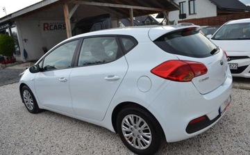 Kia Ceed II pro_cee´d 1.4 DOHC 100KM 2013 Kia Ceed Bezwypadkowe - 1 wlasciciel - Niski przebieg - Super Stan 1.4, zdjęcie 16