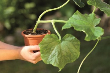 Горшок цветочный PLASTICA DP40 40х30 - Терракота