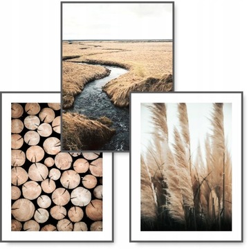 BOHO zestaw 3 obrazy 30x40 NATURA BRĄZ plakat #17