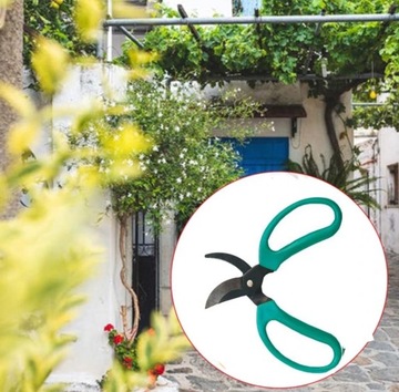 ЗАЩИТНЫЕ НОЖНИЦЫ ДЛЯ УХОДА ЗА КОМНАТНЫМИ РАСТЕНИЯМИ