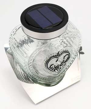 СОЛНЕЧНАЯ СЕРДЦЕ, металл и стекло, теплый светодиодный свет, 1000 дней.